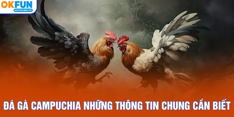 Đá gà Campuchia những thông tin chung cần biết