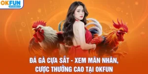Đá Gà Cựa Sắt - Xem Mãn Nhãn, Cược Thưởng Cao Tại OKFUN