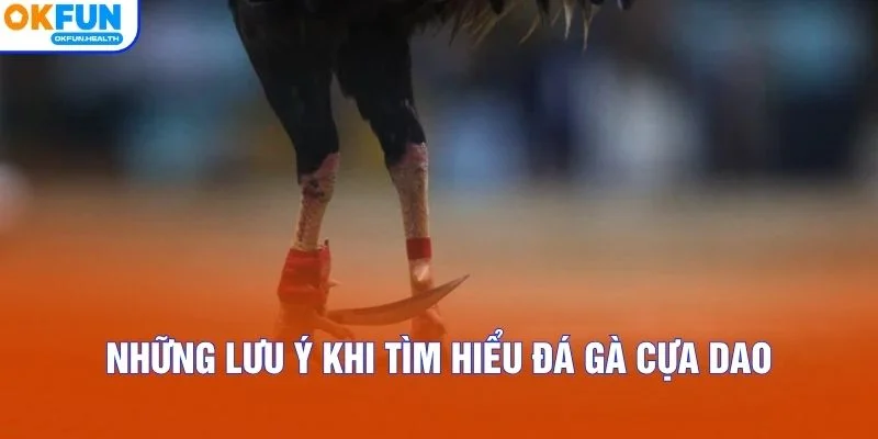 Những lưu ý khi tìm hiểu đá gà cựa dao