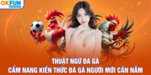 Thuật Ngữ Đá Gà - Cẩm Nang Kiến Thức Đá Gà Người Mới Cần Nắm