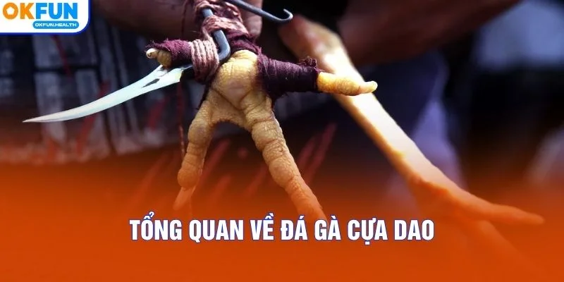Tổng quan về Đá gà cựa dao