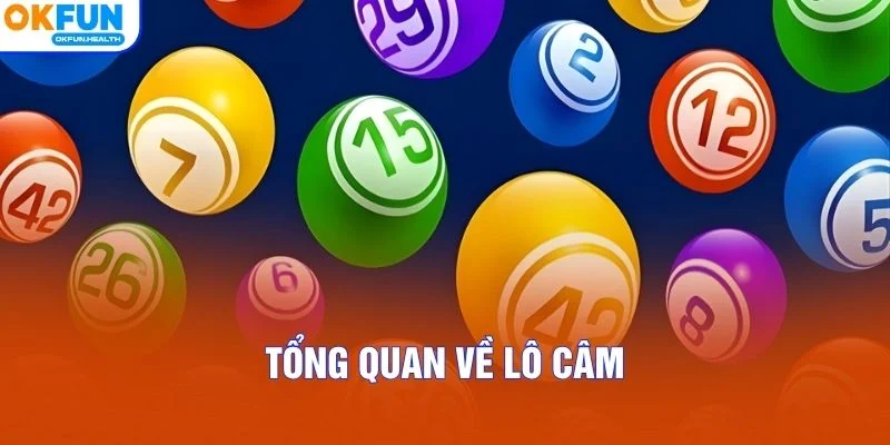 Tổng quan về Lô Câm