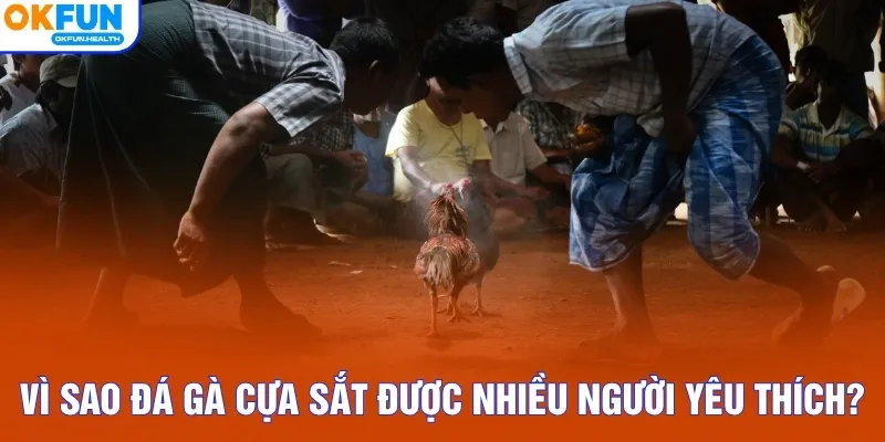 Vì sao đá gà cựa sắt được nhiều người yêu thích?